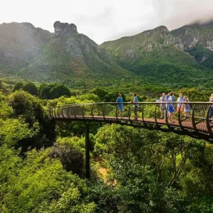 Cape Town Table Mountain, Kirstenbosch, and Constantia Tour