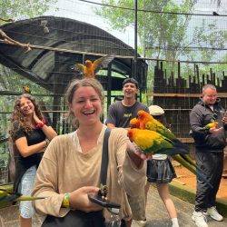 Dalat Afternoon Mongo Land & Mario Kart Adventure