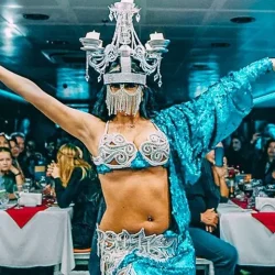 Istanbul Bosphorus Dinner Cruise with Night Show