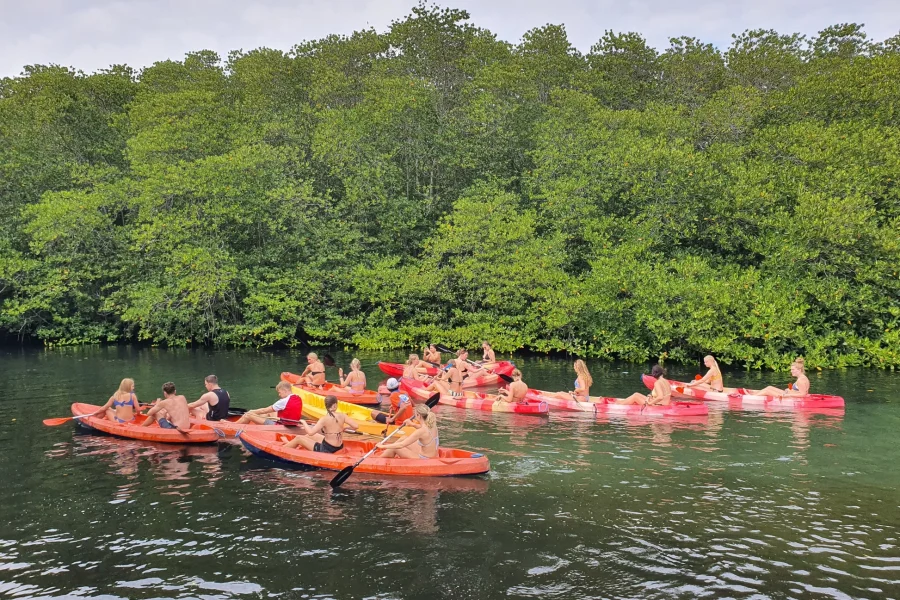 Manta Ray Snorkeling & Mangrove Kayaking Tour From Penida