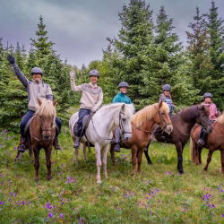 Mjölnir Viking Horses riding Afternoon Tour