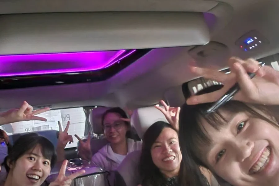 Seoul Private Car With Driver Custom Day with Pickup