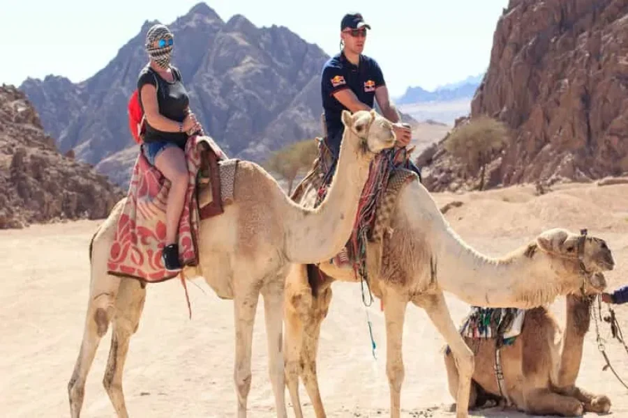 Sharm EL Sheikh Desert Safari Tour With 5 Activities