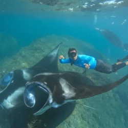Snorkeling with Lembongan Tour From Penida with Buffet Lunch