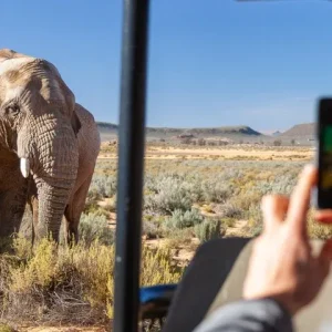 Sunset Big 5 Safari & Cape Town Heritage Tour