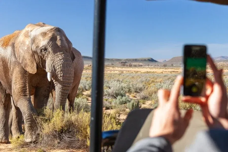 Sunset Big 5 Safari & Cape Town Heritage Tour