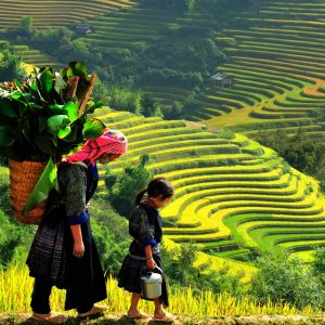2 Days Hanoi to Sapa Tour by Bus