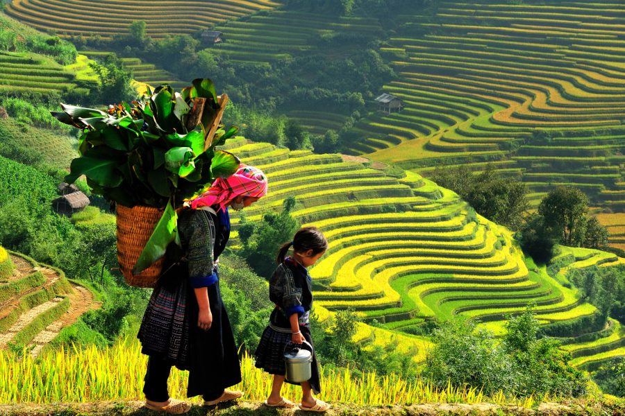 2 Days Hanoi to Sapa Tour by Bus