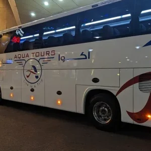 Cairo Airport Transfer to Your Hotel in Cairo or Giza