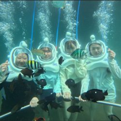 Cham Island Sea Trek and Snorkeling by Speedboat