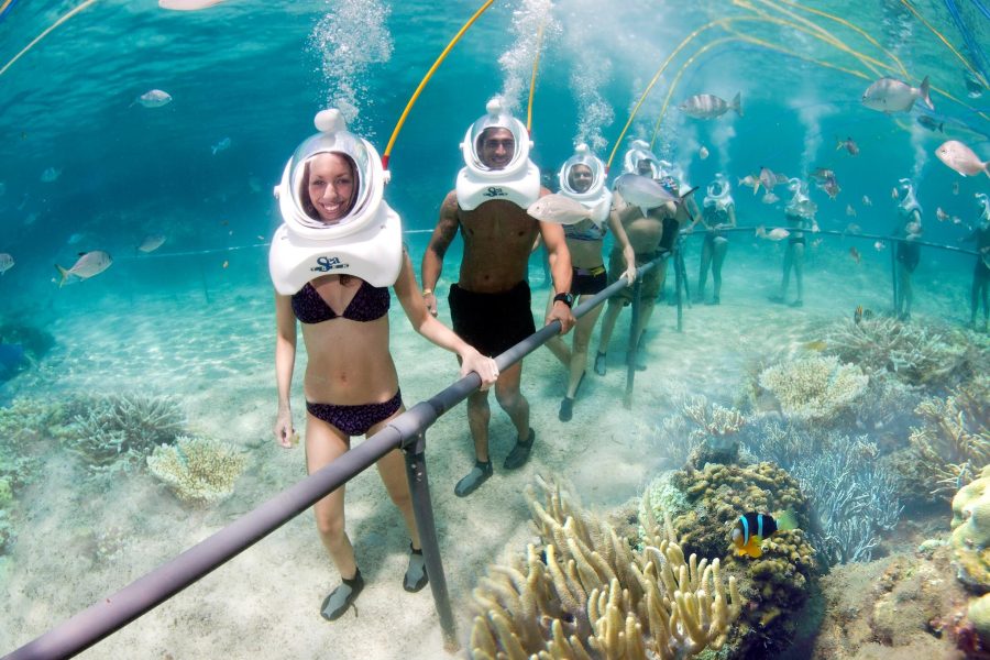 Cham Islands Snorkeling Tour by SpeedBoat from Da Nang