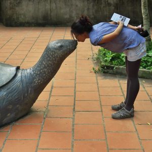 Cuc Phuong National Park Full Day Tour Adventure Cuc Phuong National Park Full Day Tour Adventure