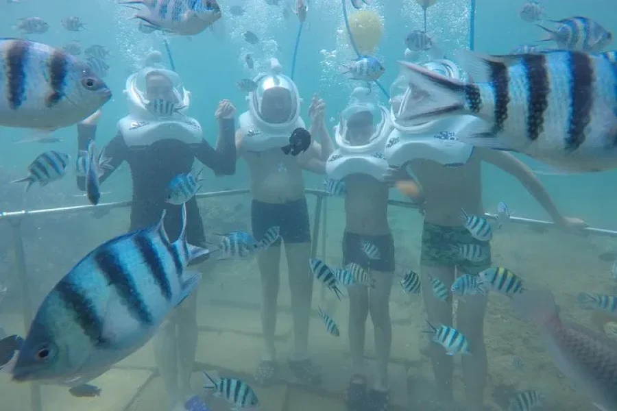 Full Day Cham Islands Underwater Walking & Snorkeling Adventure