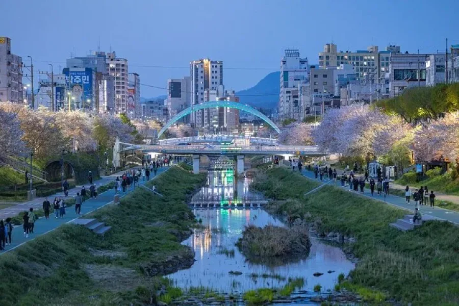 Seoul VIP Mercedes Maybach S‑Class Chauffeur