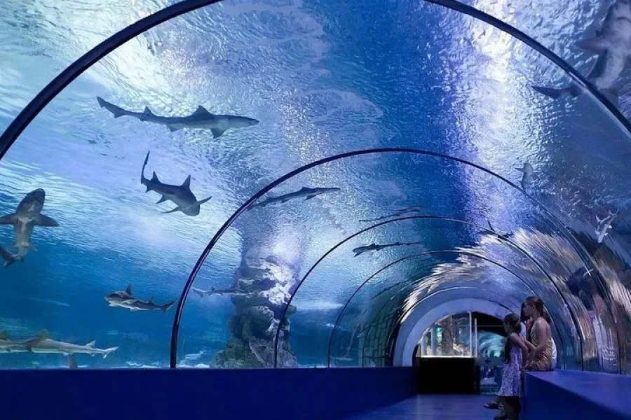 All Inclusive Alanya Aquarium and Fun Park Tour